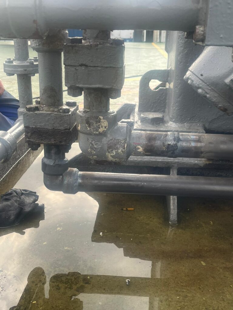 WhatsApp Image 2025-01-20 at 06.10.36